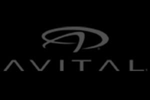 Sound Station & Security Avital Logo